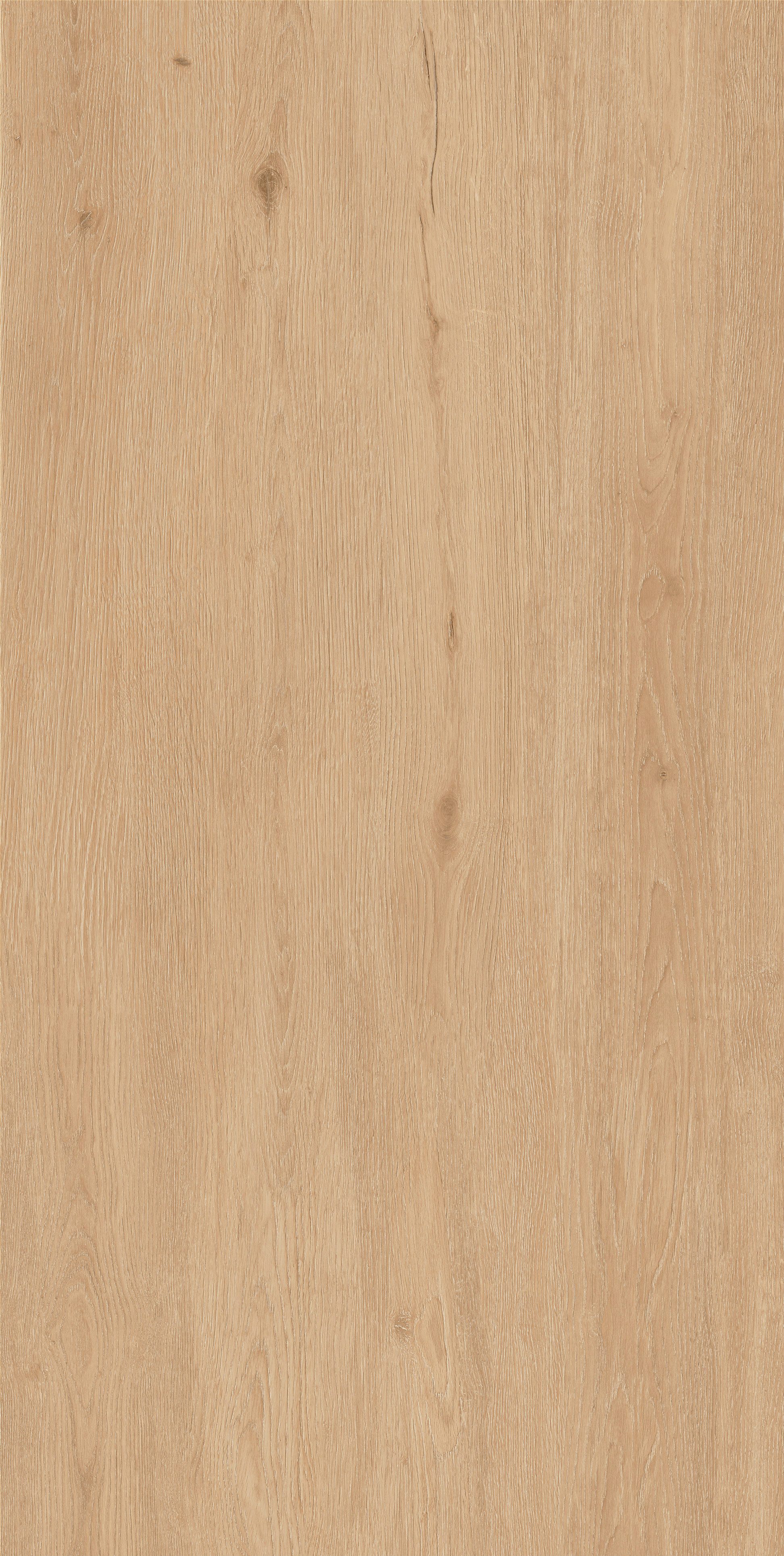 612TEX715_11.jpg