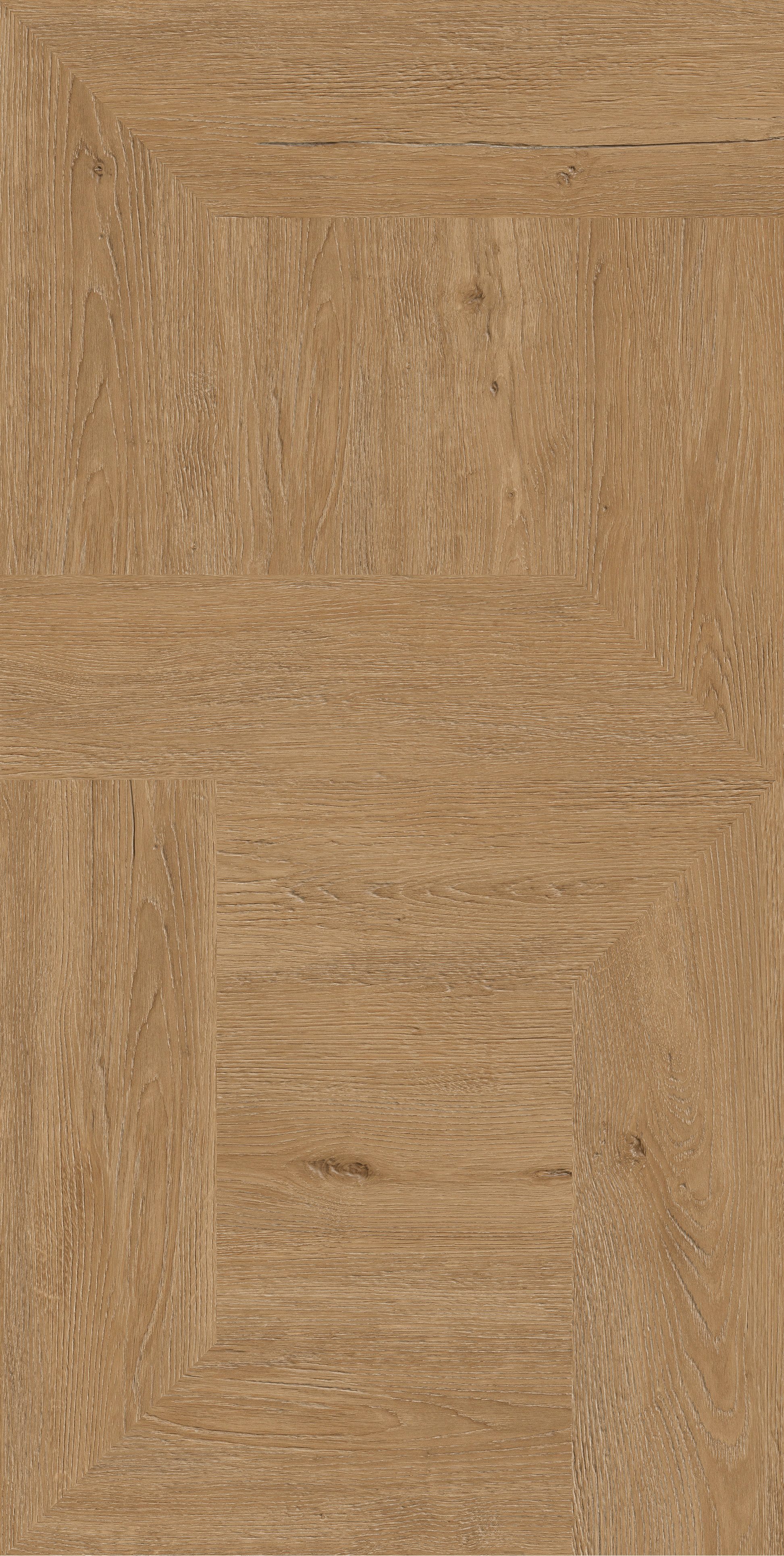 612TEX719_09.jpg